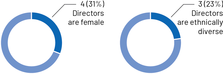 pg10_piechart-diversity.jpg